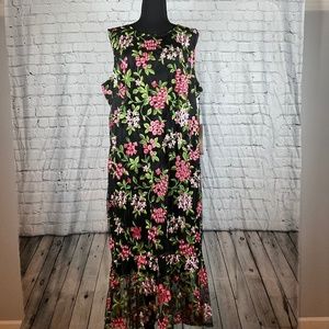 NWT Stunning embroidered sleeveless dress
